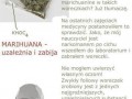 Prawda o woreczkach z marihuany