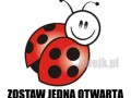 Bo pierdol się dlatego