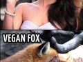 Megan fox vs vegan fox