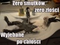 Zero smutków
