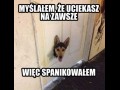 Wybacz stary