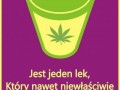 Jeden lek