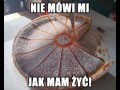Serniczek