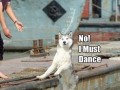 I must dance