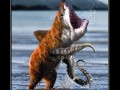 Bearsharctopus