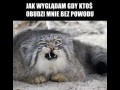 Gdy mnie ktoś obudzi