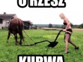 O rzesz kurwa