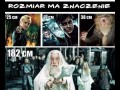 Rozmiar ma znaczenie