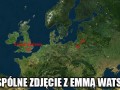 Wspólna focia