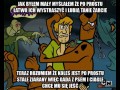 Scooby doo