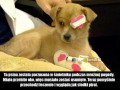 Słodki pirat