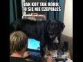 Jak kot tak robił to się nie czepiałeś