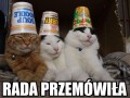Rada przemówiła