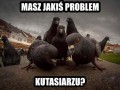 Masz jakiś problem