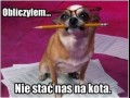 Nie stać nas