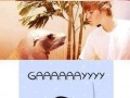 Gaaay