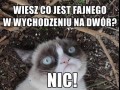 Nie ma nic fajnego
