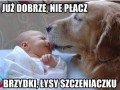Pocieszny
