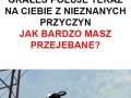 Teraz poluje na ciebie