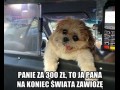 Panie za 300 zł