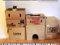 Oferta edukacyjna w polsce