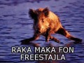 Raka maka