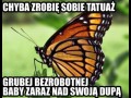 Tymczasem w alternatywnej rzeczywistości
