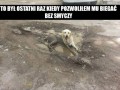 Ostatni raz