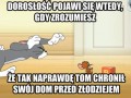 Tom i jerry