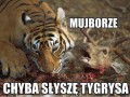 Mujborze