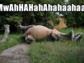 Mwahahaha 1