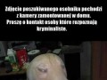List gończy