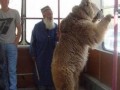 Tymczasem w rosji