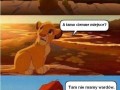 Nie ma wardów