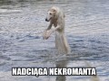 Nekromanta