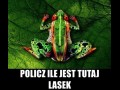 Policz