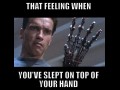 True 3