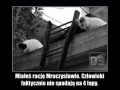 Badanie naukowe