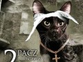 2Pacz
