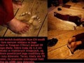 Mnich buddyjski