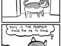 Perfect place