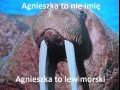 Agnieszka to nie imię