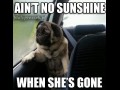 Ain39t no sunshine