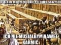 3Letni bezpłatny staż