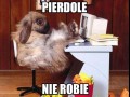 Nic mi się nie chce