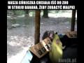 Dzieci są zajebiste