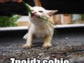 Zostaw to