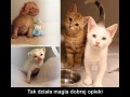 Dobra opieka