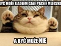 Być może p