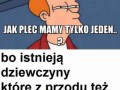 Plec